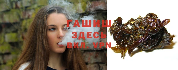 винт Абаза