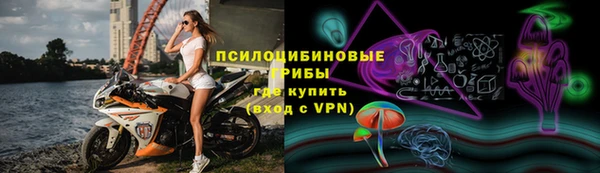 не бодяженный Новозыбков