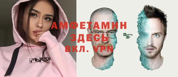 винт Абаза