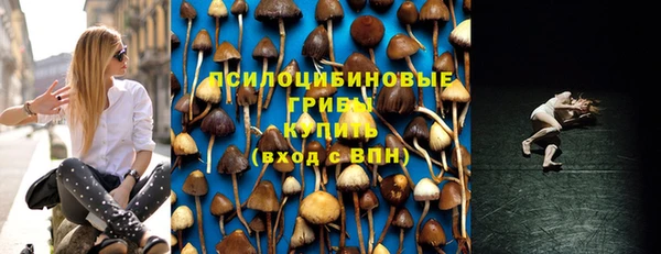 МДПВ Абинск
