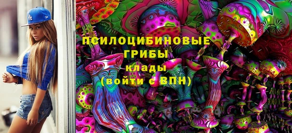 ГАЛЛЮЦИНОГЕННЫЕ ГРИБЫ Новодвинск
