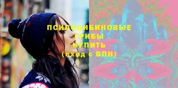 МДПВ Абинск