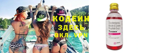 винт Абаза