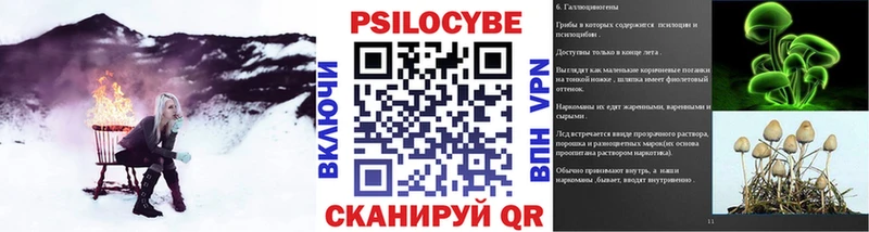 площадка состав  Электроугли  Галлюциногенные грибы ЛСД 